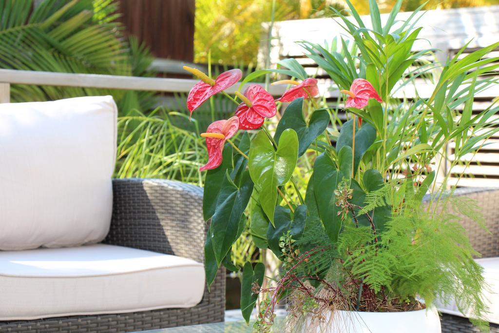 Apartamento Margayillat Manapany-les Bains Exterior foto